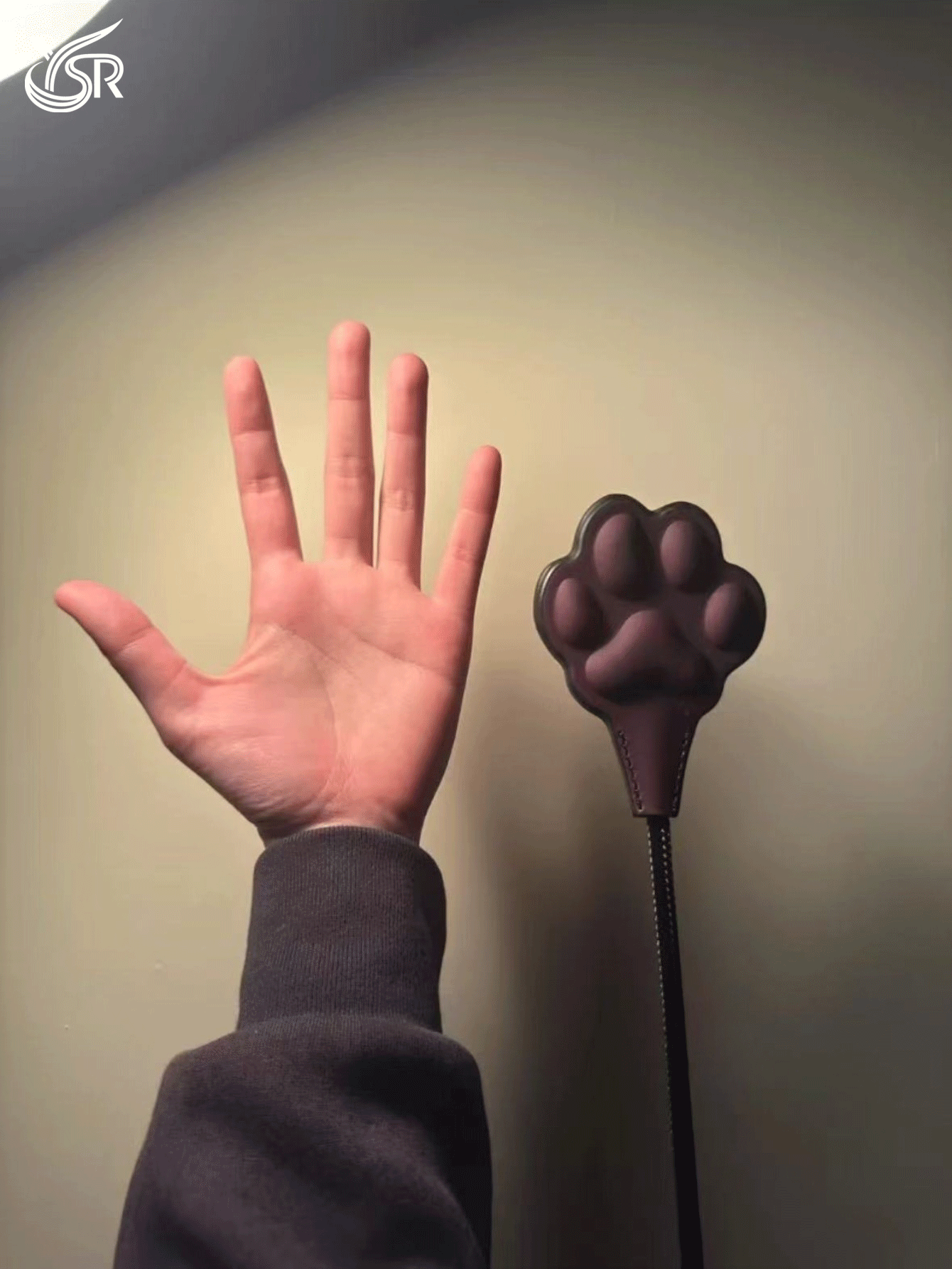 YSR A cat paw swatter made of leather material that changes color according to temperature, used as a sexual accessory for couples, SM adult sex toy